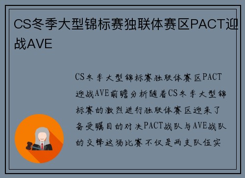 CS冬季大型锦标赛独联体赛区PACT迎战AVE