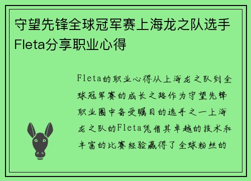 守望先锋全球冠军赛上海龙之队选手Fleta分享职业心得